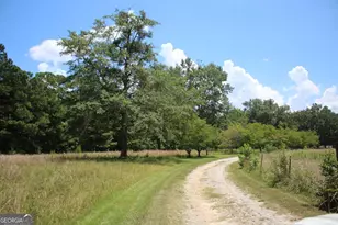 255 Barnett Rd, Hampton, GA 30228 - Photo 30