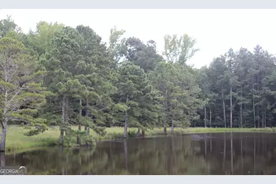 255 Barnett Road, Hampton, GA 30228 - Photo 34