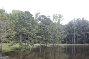 255 Barnett Rd, Hampton, GA 30228 - Photo 34