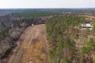 2039 Buttermilk Rd, Portal, GA 30450 - Photo 40