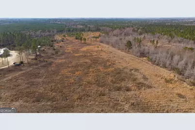 2039 Buttermilk Road, Portal, GA 30450 - Photo 42