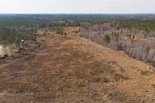 2039 Buttermilk Rd, Portal, GA 30450 - Photo 42