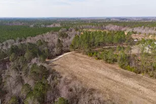 2039 Buttermilk Rd, Portal, GA 30450 - Photo 38