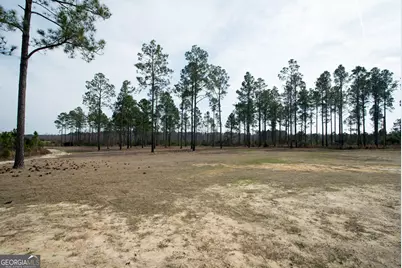 2039 Buttermilk Road, Portal, GA 30450 - Photo 36