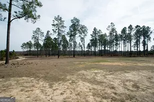 2039 Buttermilk Rd, Portal, GA 30450 - Photo 36