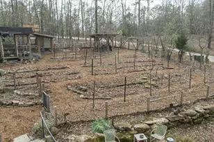 1257 Seymour Rd, Bowman, GA 30624 - Photo 36