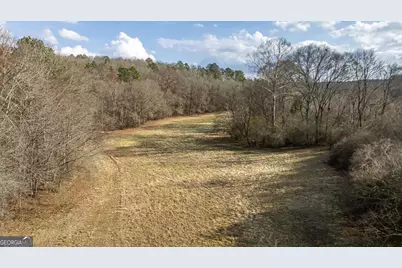 1257 Seymour Road, Bowman, GA 30624 - Photo 48