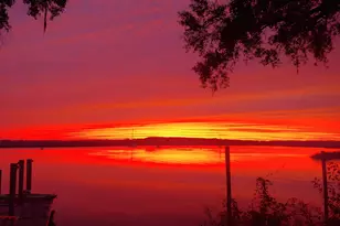 1142 New Point Peter Rd, Saint Marys, GA 31558 - Photo 90