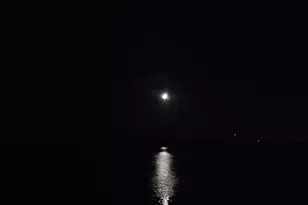 1142 New Point Peter Rd, Saint Marys, GA 31558 - Photo 88