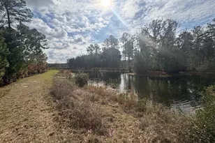 213 Park View Ln, Kingsland, GA 31548 - Photo 52