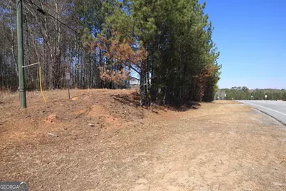 0 Highway 100, Tallapoosa, GA 30176 - Photo 2