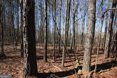0 Highway 100, Tallapoosa, GA 30176 - Photo 4