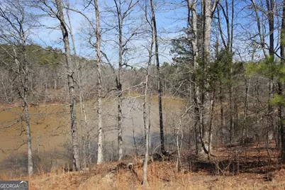 0 Stone Mtn Street, Tallapoosa, GA 30176 - Photo 8