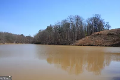 0 Stone Mtn Street, Tallapoosa, GA 30176 - Photo 6