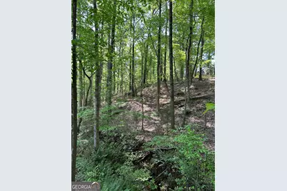 1745 Hannah Creek Church Road, Royston, GA 30662 - Photo 34