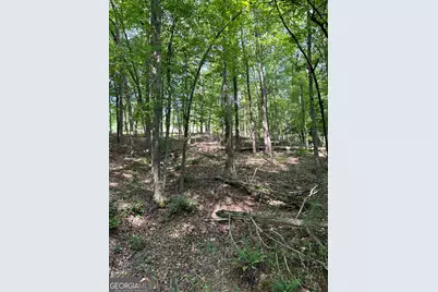 1745 Hannah Creek Church Road, Royston, GA 30662 - Photo 32