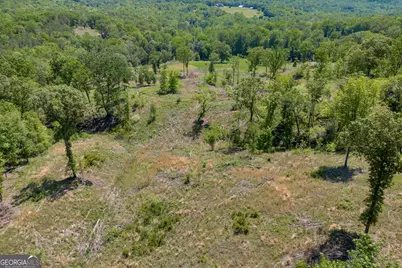 1745 Hannah Creek Church Road, Royston, GA 30662 - Photo 46