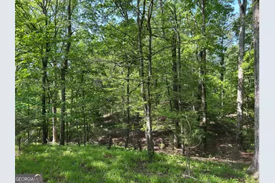 1745 Hannah Creek Church Road, Royston, GA 30662 - Photo 24