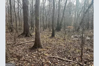 250 Riversong Road, Carrollton, GA 30117 - Photo 64