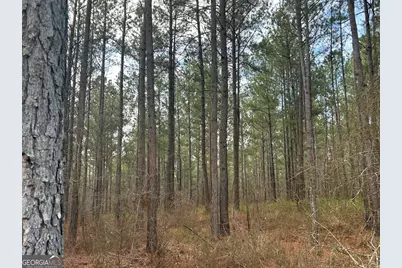 250 Riversong Road, Carrollton, GA 30117 - Photo 18