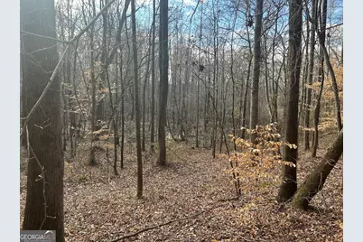 250 Riversong Road, Carrollton, GA 30117 - Photo 62