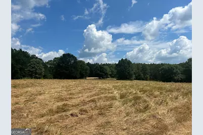 250 Riversong Road, Carrollton, GA 30117 - Photo 38