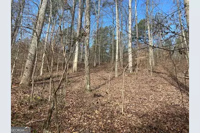 250 Riversong Road, Carrollton, GA 30117 - Photo 66