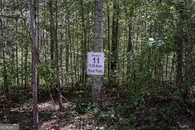 250 Riversong Road, Carrollton, GA 30117 - Photo 10