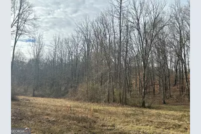 250 Riversong Road, Carrollton, GA 30117 - Photo 52