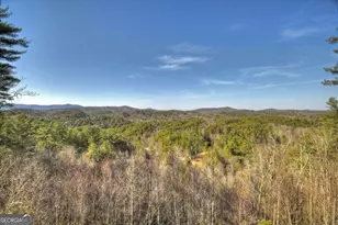602 Laurel Creek Trail, Blue Ridge, GA 30513 - Photo 58