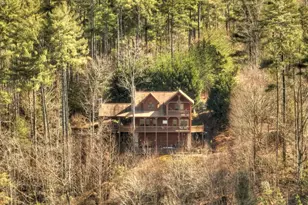 602 Laurel Creek Trail, Blue Ridge, GA 30513 - Photo 50