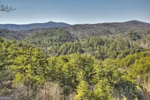 602 Laurel Creek Trail, Blue Ridge, GA 30513 - Photo 56