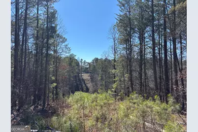 1 East Dry Pond Road LOT #1 EAST, Ranger, GA 30734 - Photo 4