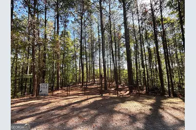 2 East Dry Pond Road LOT #2 EAST, Ranger, GA 30734 - Photo 20