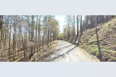2 East Dry Pond Road LOT #2 EAST, Ranger, GA 30734 - Photo 4