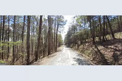 4 West Dry Pond Road LOT #4 WEST, Ranger, GA 30734 - Photo 2