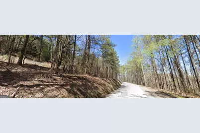 5 West Dry Pond Road LOT #5 WEST, Ranger, GA 30734 - Photo 8