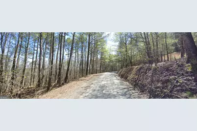 5 West Dry Pond Road LOT #5 WEST, Ranger, GA 30734 - Photo 4