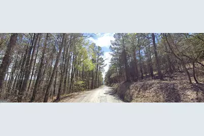 5 West Dry Pond Road LOT #5 WEST, Ranger, GA 30734 - Photo 6