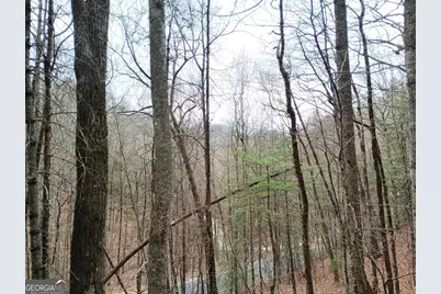 0 Lot #289 Cobblewood Trail, Sky Valley, GA 30537 - Photo 2