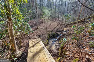 153 Coleman Heights Ln, Rabun Gap, GA 30568 - Photo 48