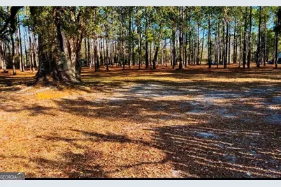 4582 Saint Johns Church Road, Blackshear, GA 31516 - Photo 50