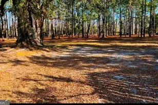 4582 St Johns Church Rd, Blackshear, GA 31516 - Photo 50