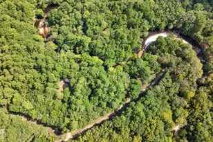 628 Riverside Dr, Claxton, GA 30417 - Photo 28