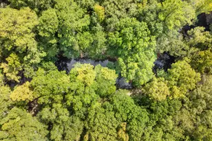 628 Riverside Dr, Claxton, GA 30417 - Photo 30