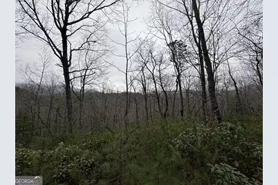 Lot 21 Whisper Ridge Court #21, Hiawassee, GA 30546 - Photo 24