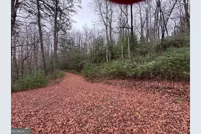 Lot 21 Whisper Ridge Court #21, Hiawassee, GA 30546 - Photo 30