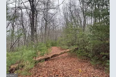 Lot 21 Whisper Ridge Court #21, Hiawassee, GA 30546 - Photo 12