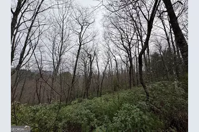 Lot 21 Whisper Ridge Court #21, Hiawassee, GA 30546 - Photo 28