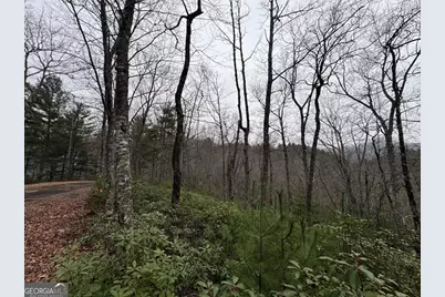 Lot 21 Whisper Ridge Court #21, Hiawassee, GA 30546 - Photo 10